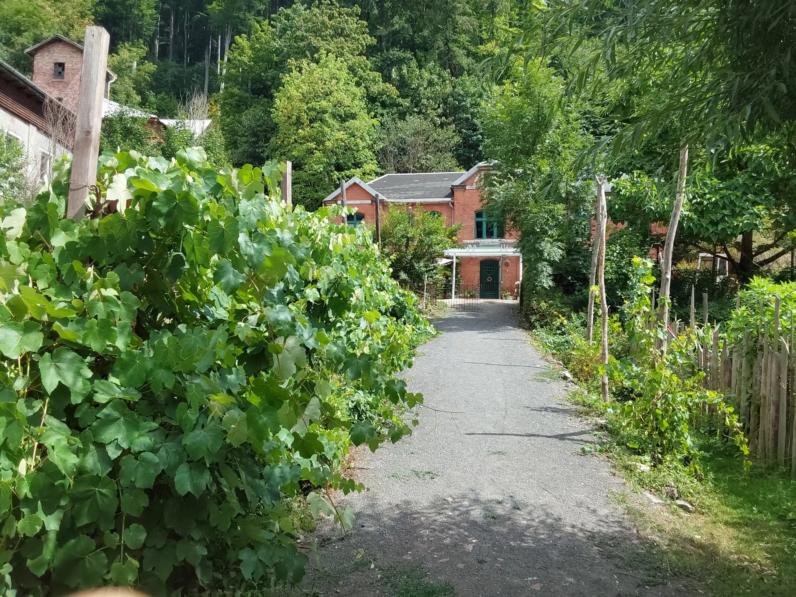 Villa op 1.8 ha perceel, tuin, bos, sauna, bron + bedrijf in Sonneberg - Duitsland