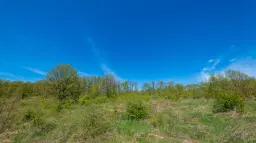 Bosgrond in Tolovitsa, rego Vidin - Bulgarije