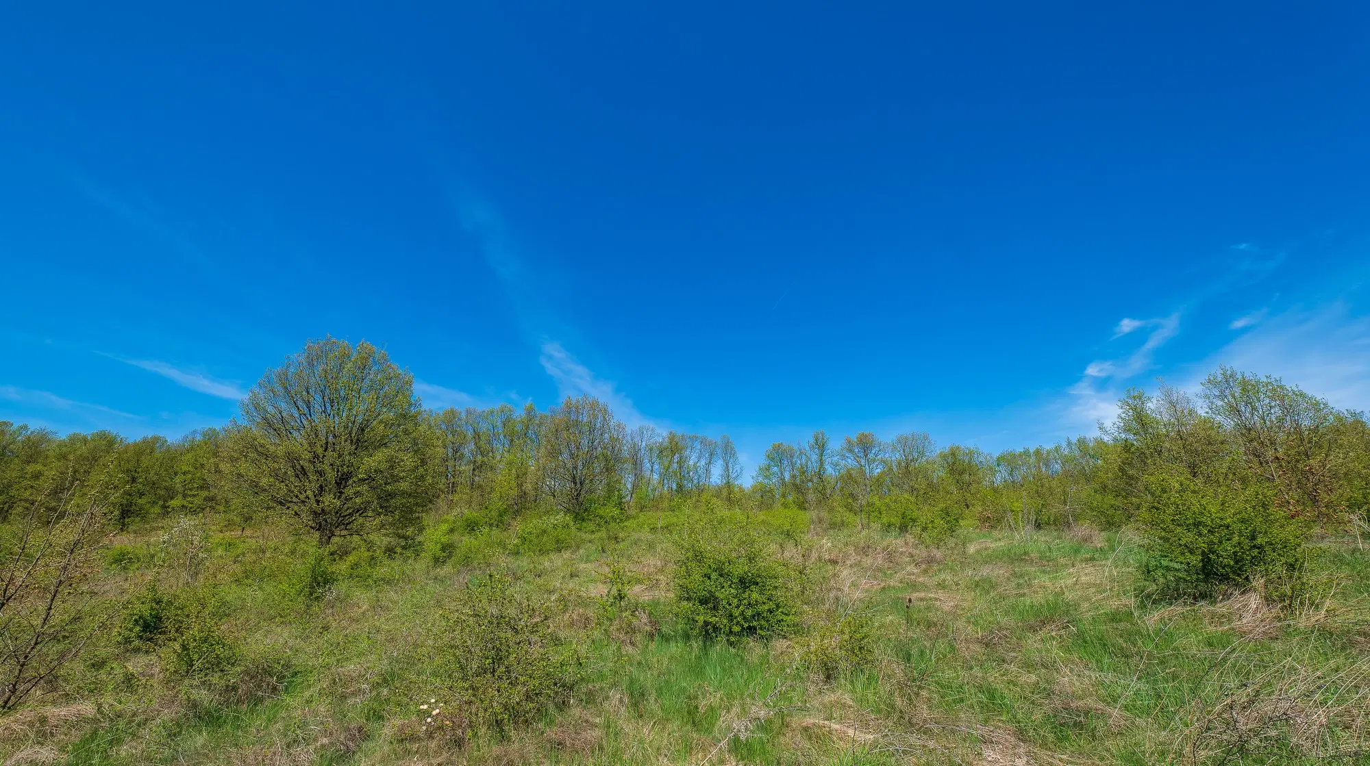 Bosgrond in Tolovitsa, rego Vidin - Bulgarije