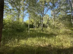 Perceel bosgrond in Zedlitz - Borna - Duitsland
