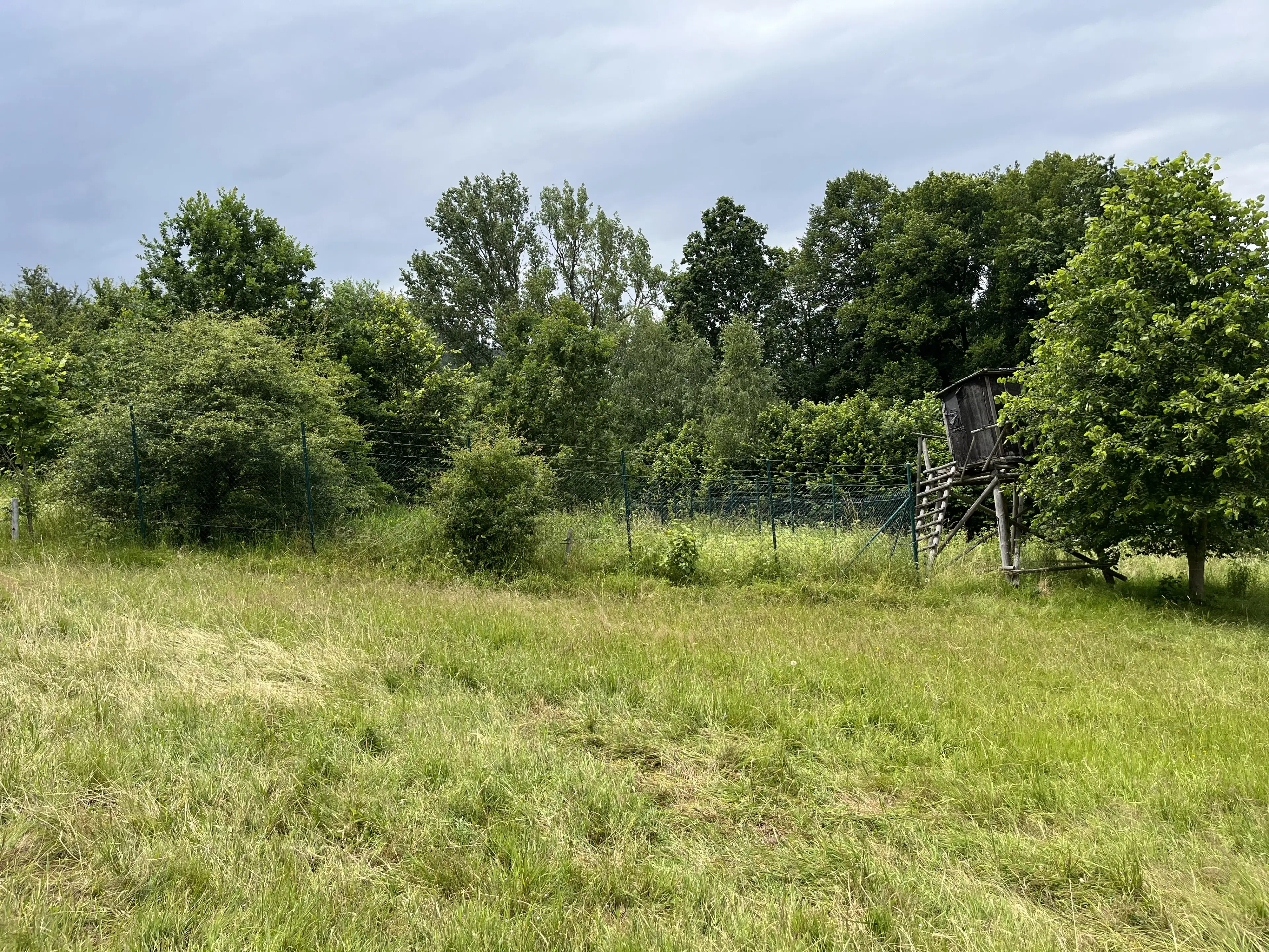 Perceel grond met jachthut van 3.320 m2 in Friedrichroda - Duitsland