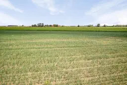 Bouwland (akkerbouw) in de Passageulepolder te Sint Kruis, gemeente Sluis