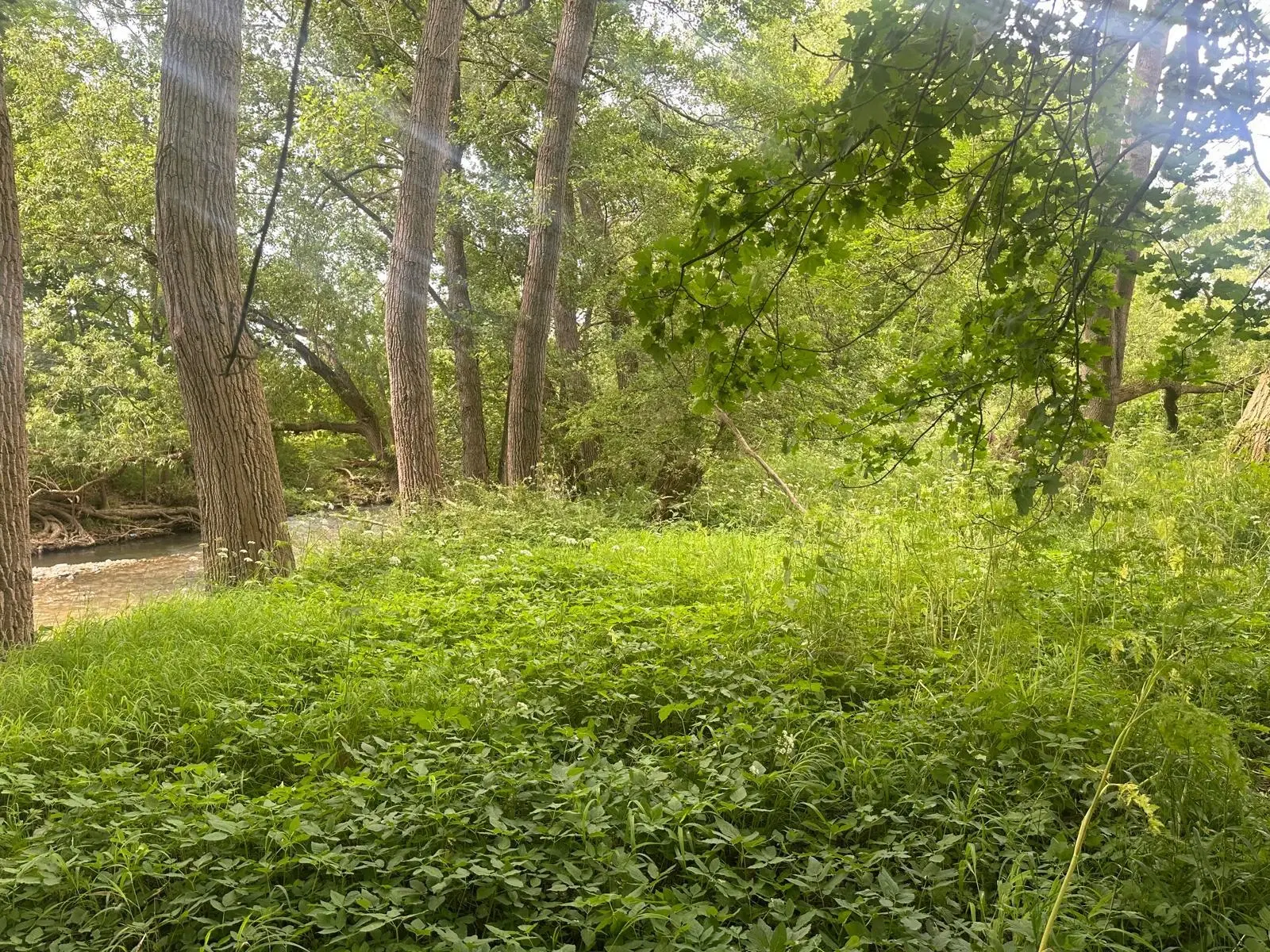 Ruim perceel van 5.550 m2 gelegen aan de rivier Gera - Erfurt OT Molsdorf - Duitsland