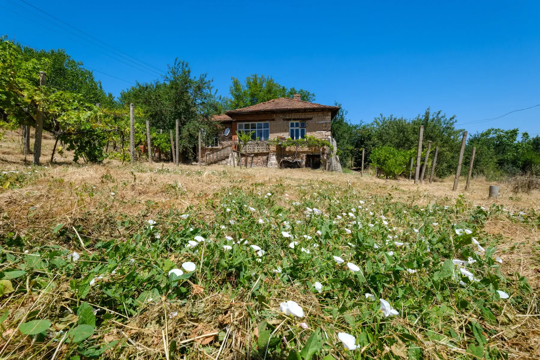 Huis op 2.564 m2 grond in Cherna Mogila - Bulgarije