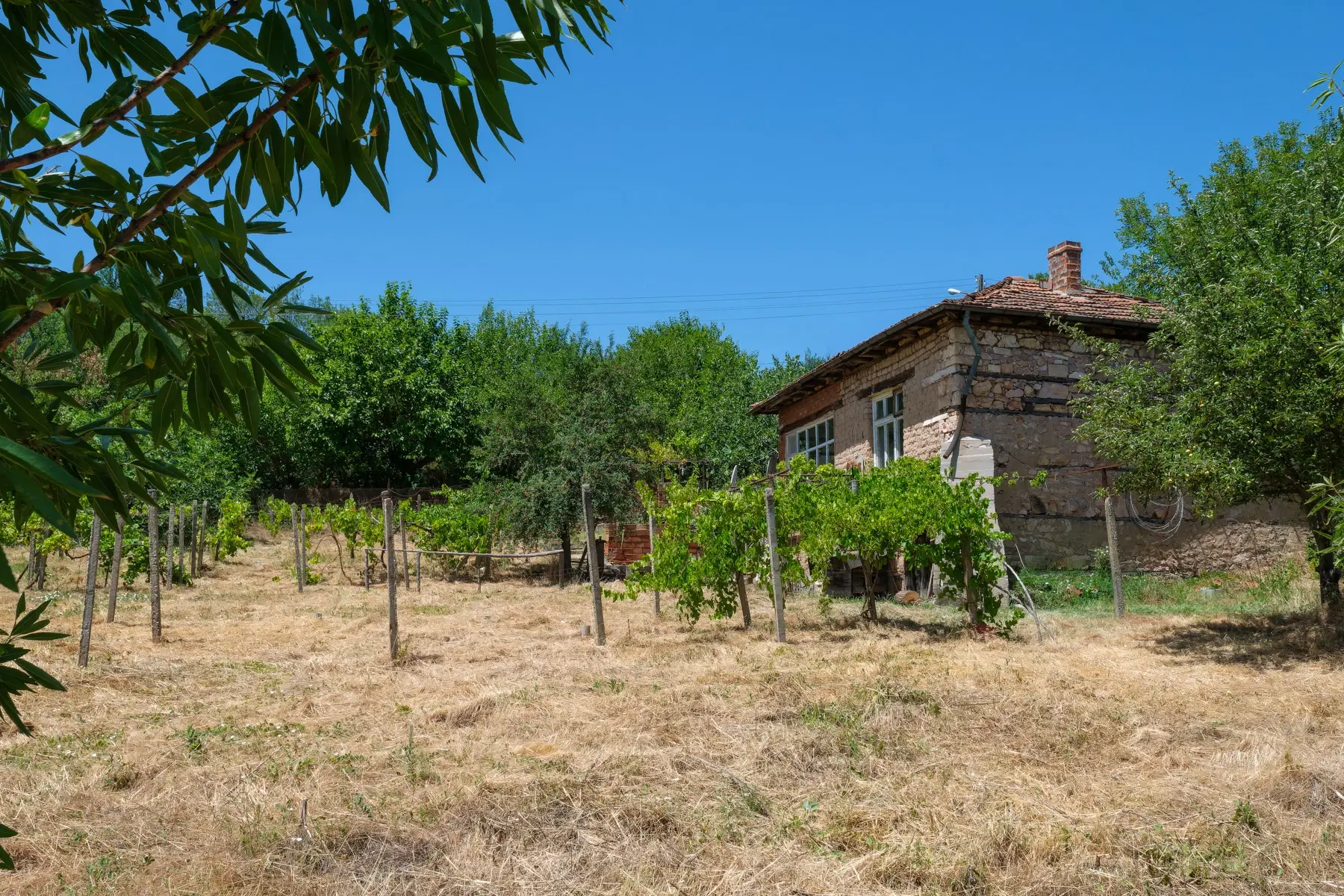 Huis op 2.564 m2 grond in Cherna Mogila - Bulgarije