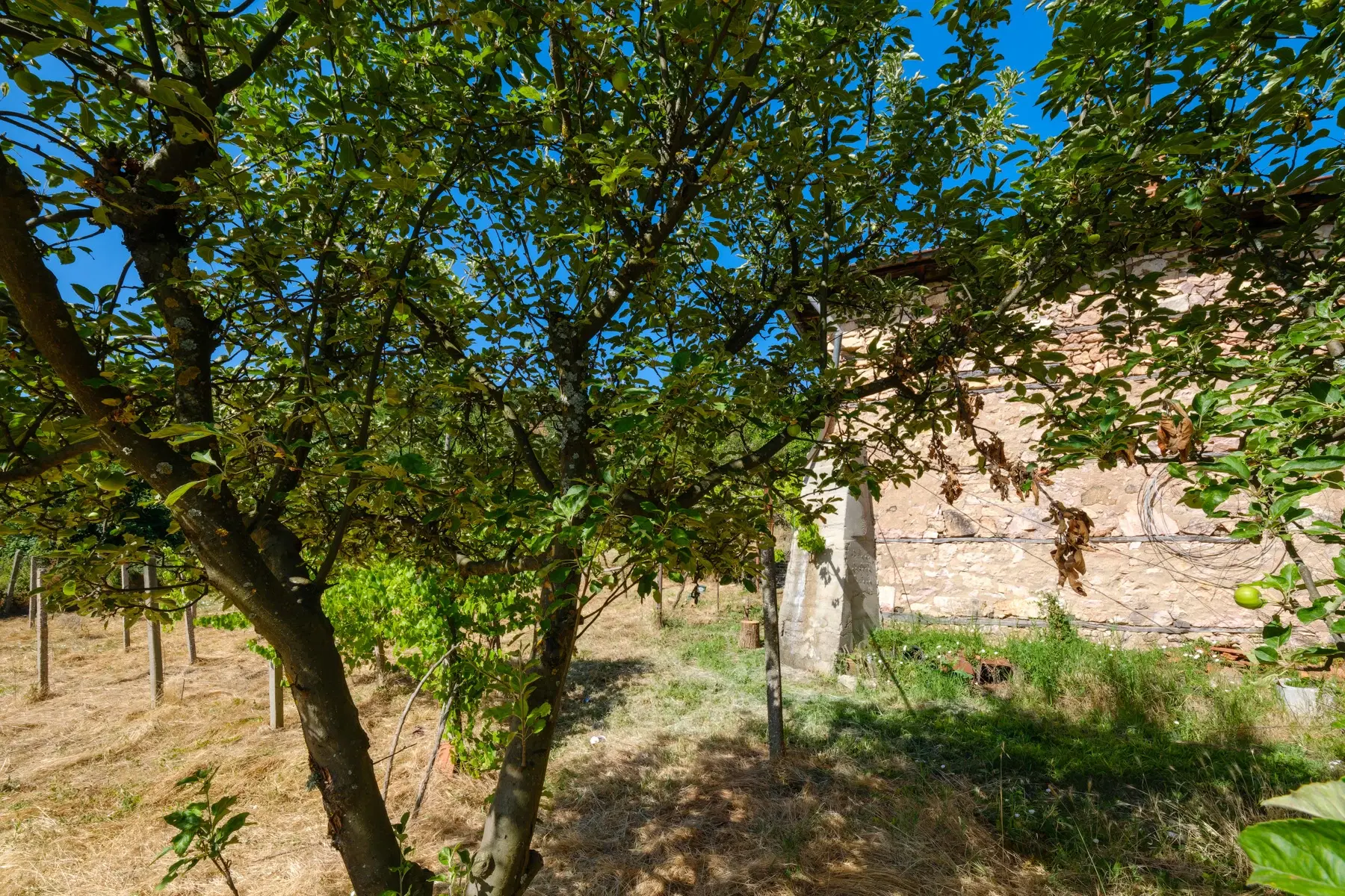 Huis op 2.564 m2 grond in Cherna Mogila - Bulgarije