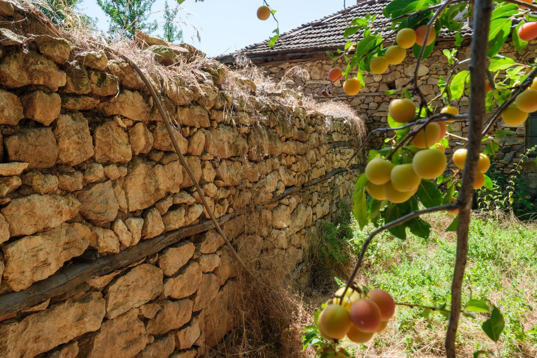 Huis op 2.564 m2 grond in Cherna Mogila - Bulgarije