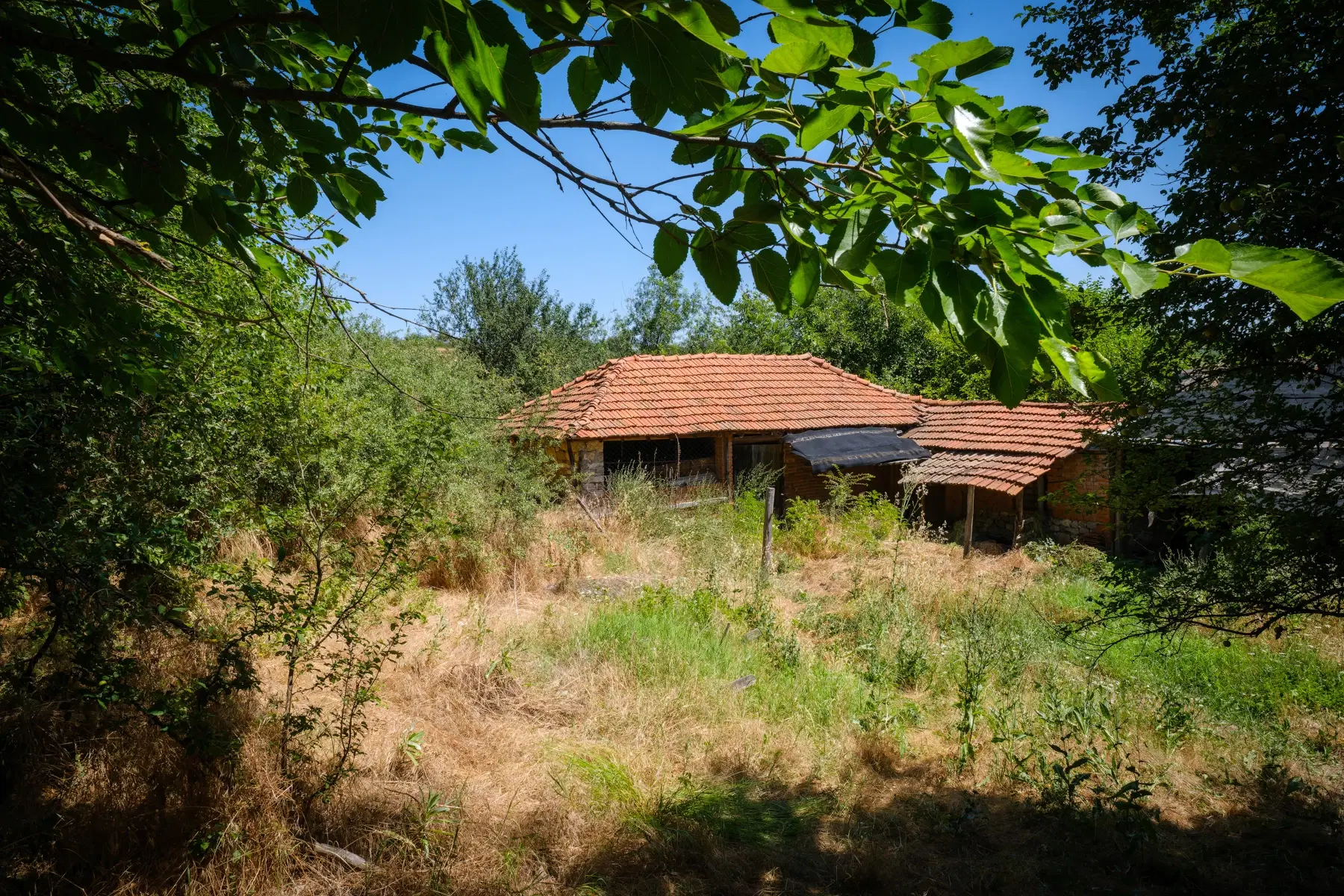 Huis op 2.564 m2 grond in Cherna Mogila - Bulgarije