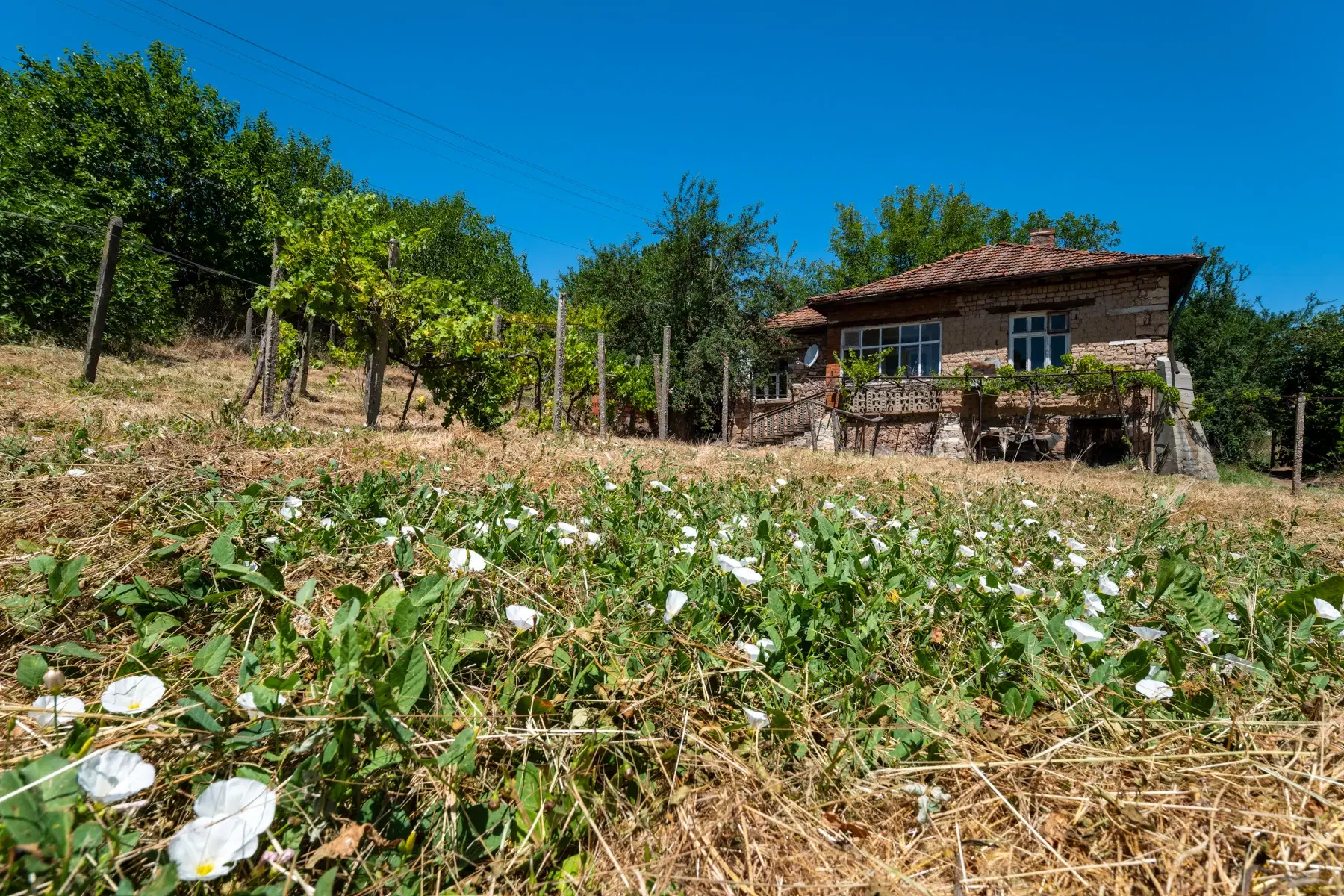 Huis op 2.564 m2 grond in Cherna Mogila - Bulgarije