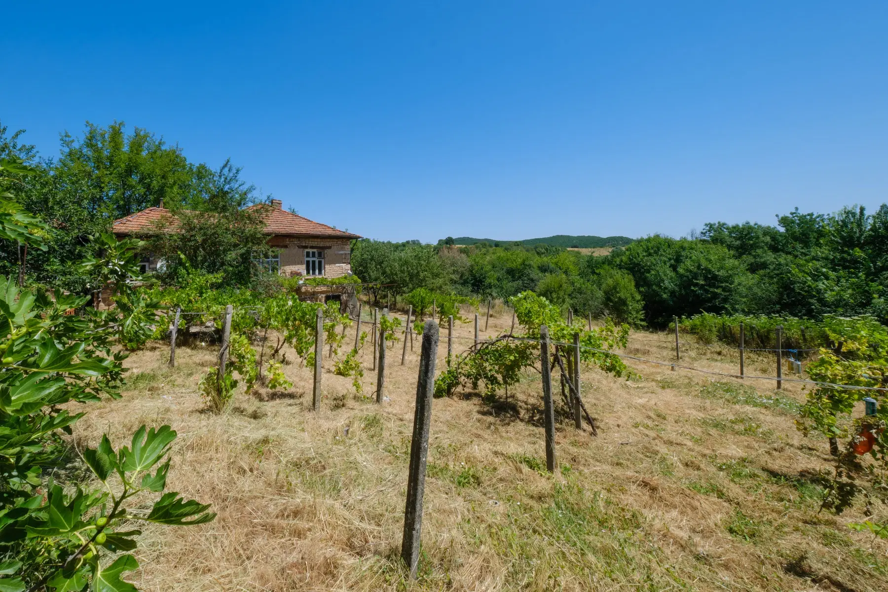 Huis op 2.564 m2 grond in Cherna Mogila - Bulgarije
