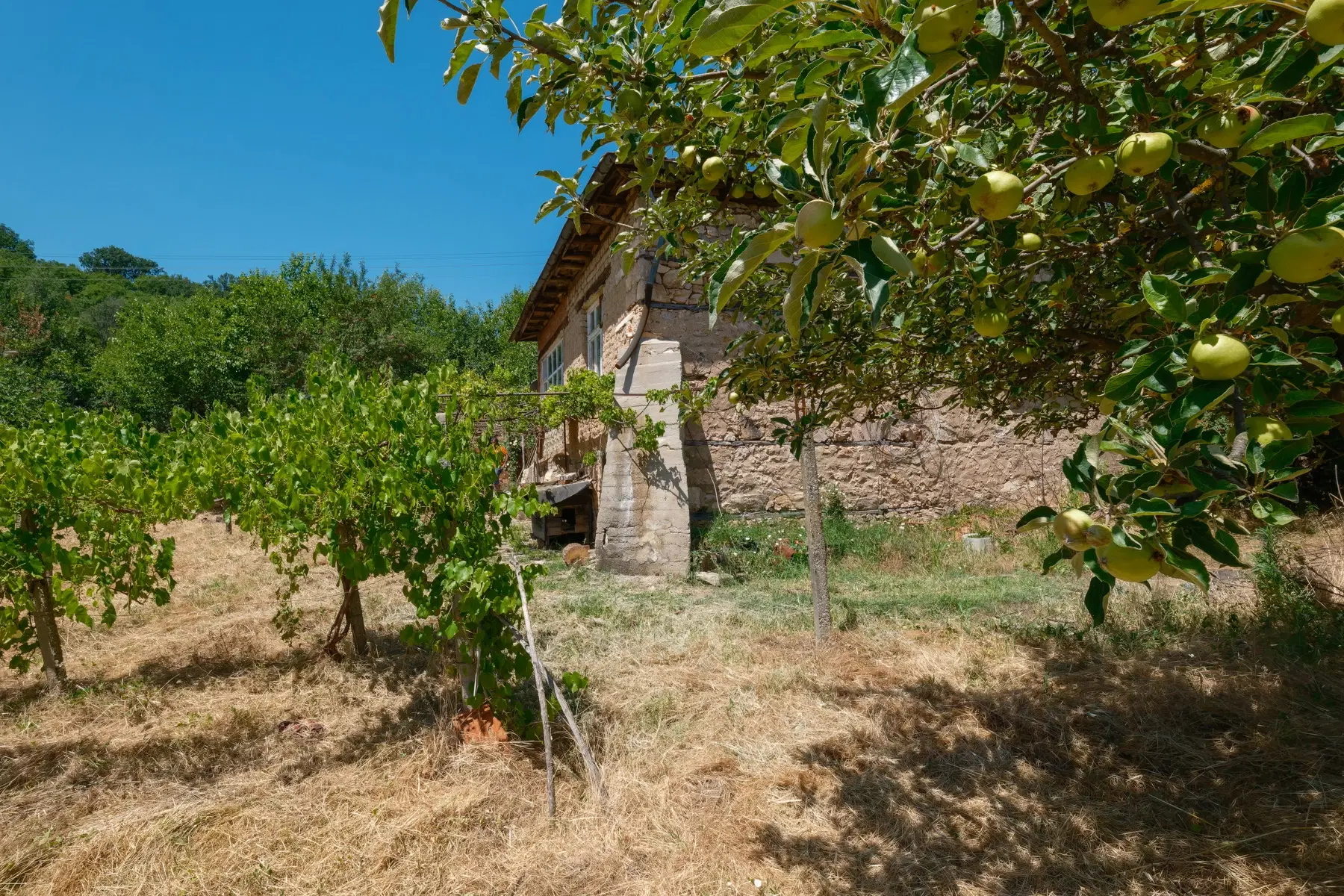 Huis op 2.564 m2 grond in Cherna Mogila - Bulgarije