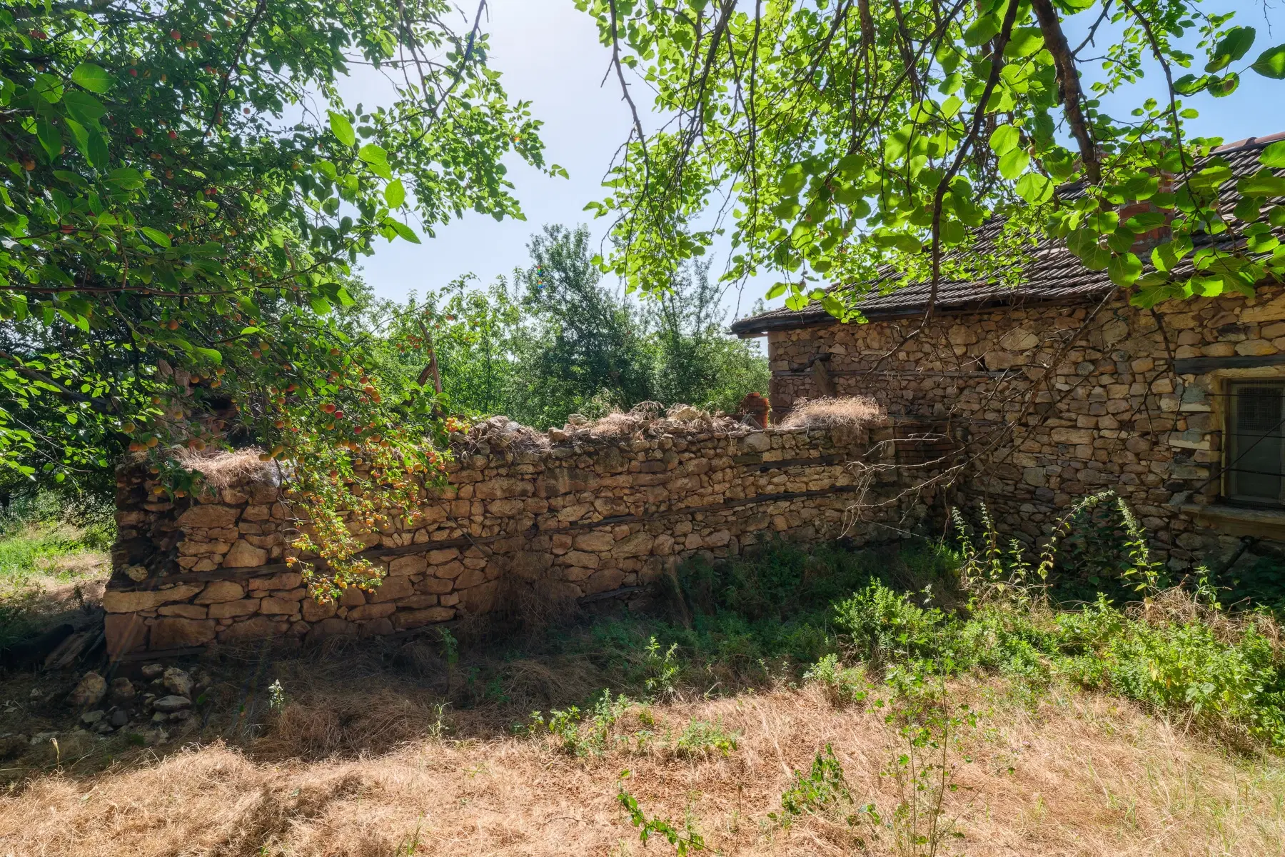 Huis op 2.564 m2 grond in Cherna Mogila - Bulgarije
