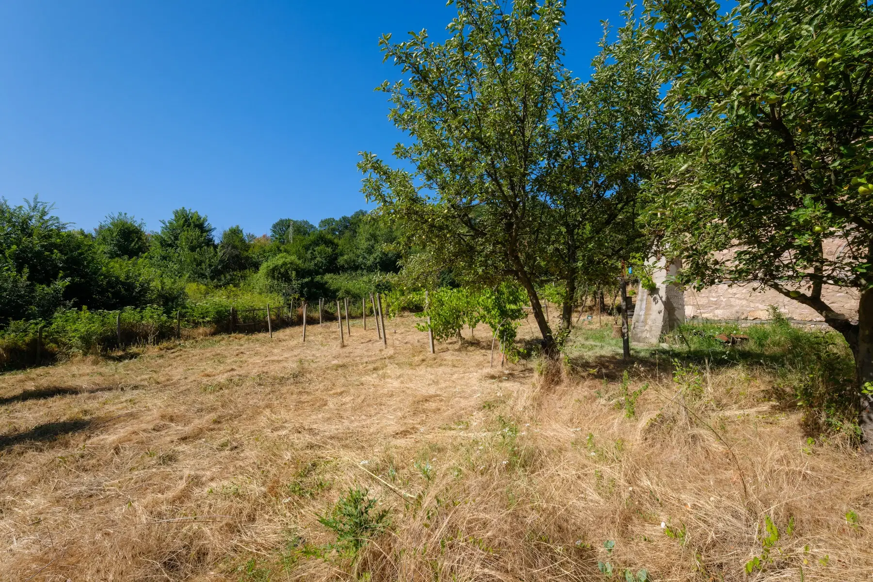 Huis op 2.564 m2 grond in Cherna Mogila - Bulgarije