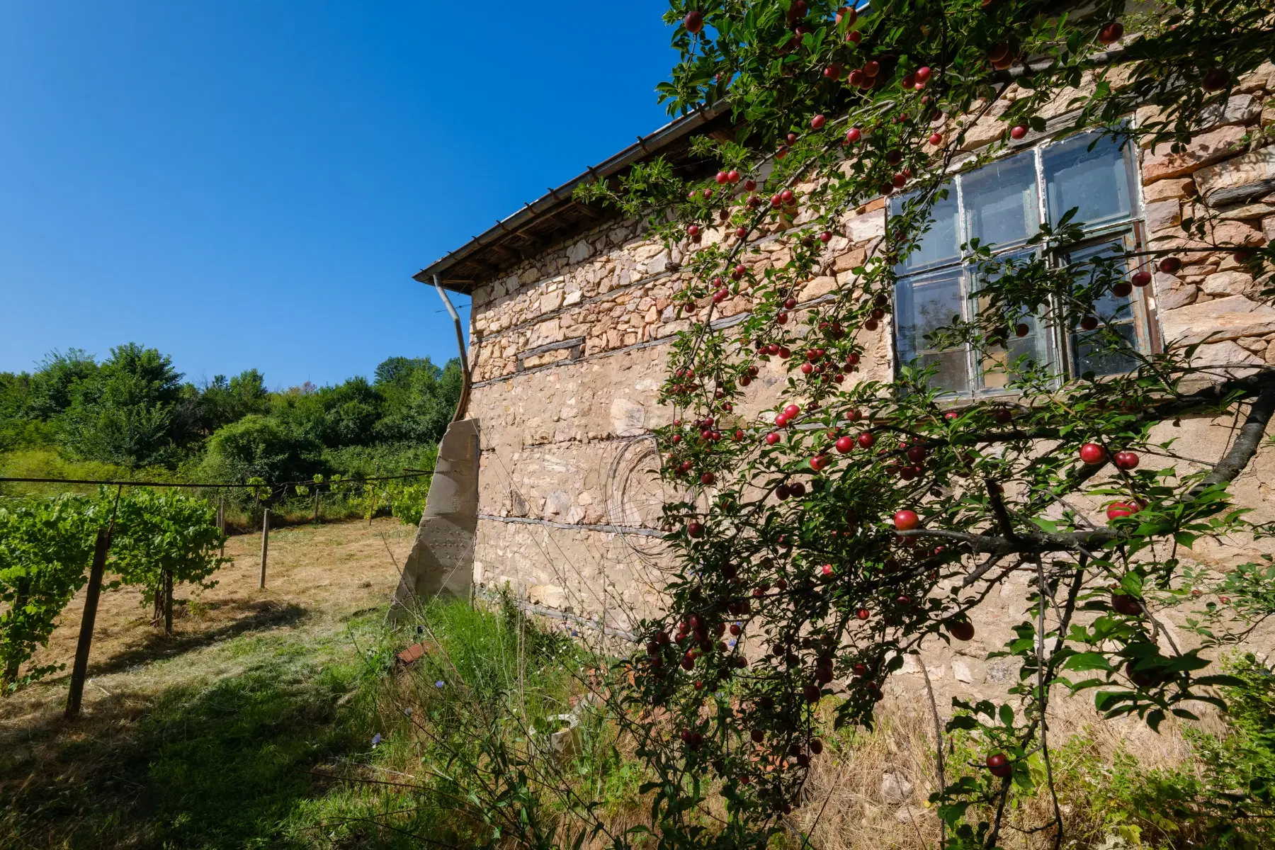 Huis op 2.564 m2 grond in Cherna Mogila - Bulgarije