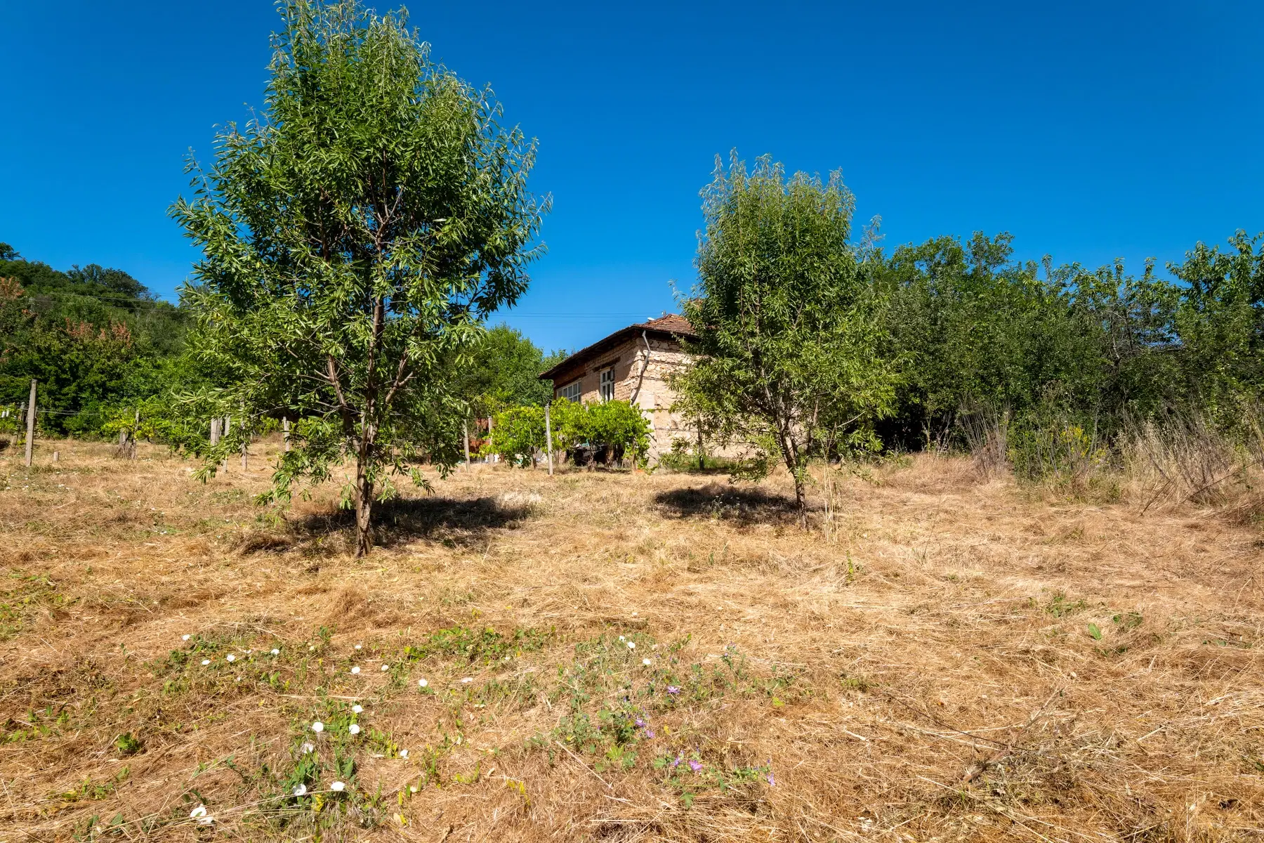 Huis op 2.564 m2 grond in Cherna Mogila - Bulgarije