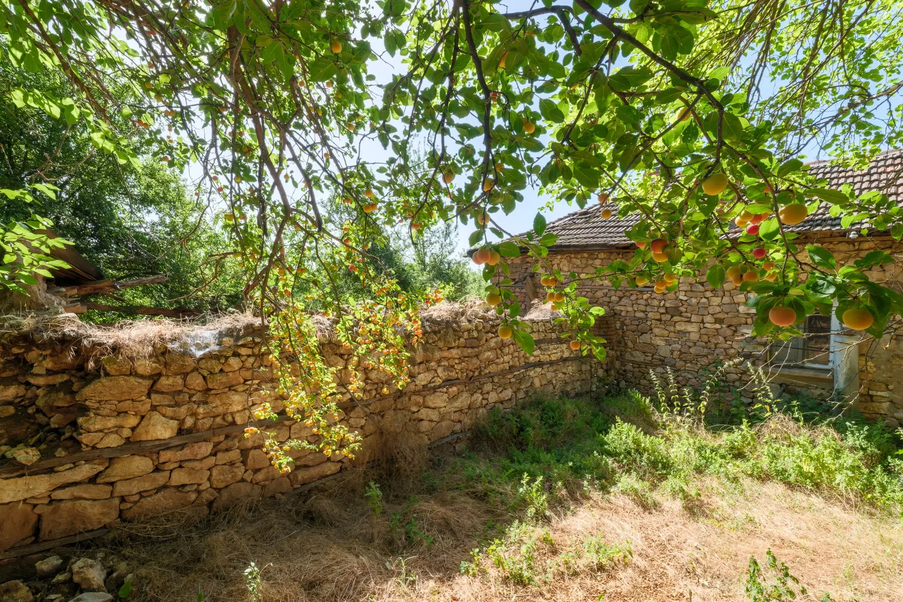 Huis op 2.564 m2 grond in Cherna Mogila - Bulgarije