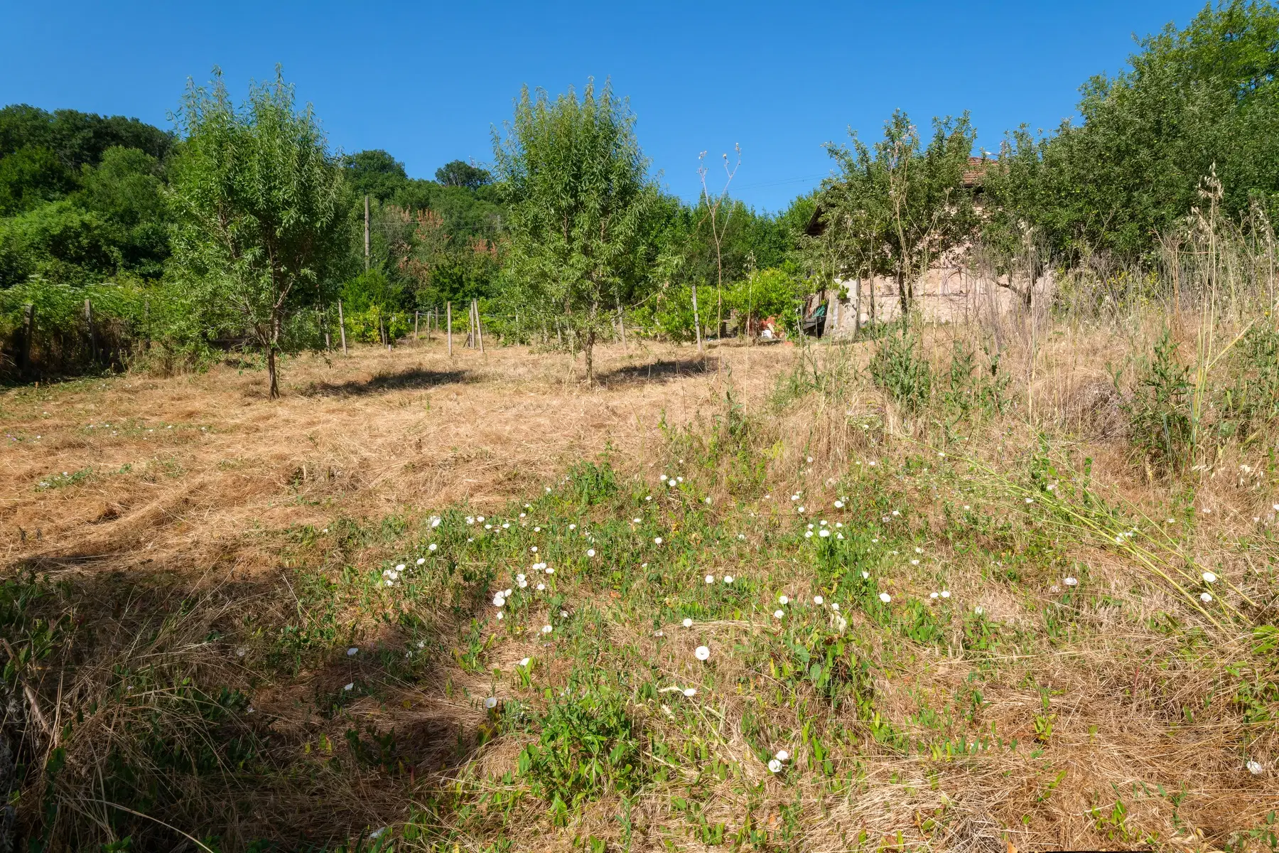 Huis op 2.564 m2 grond in Cherna Mogila - Bulgarije