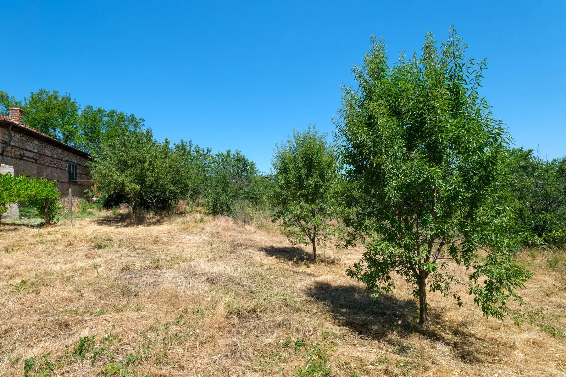 Huis op 2.564 m2 grond in Cherna Mogila - Bulgarije