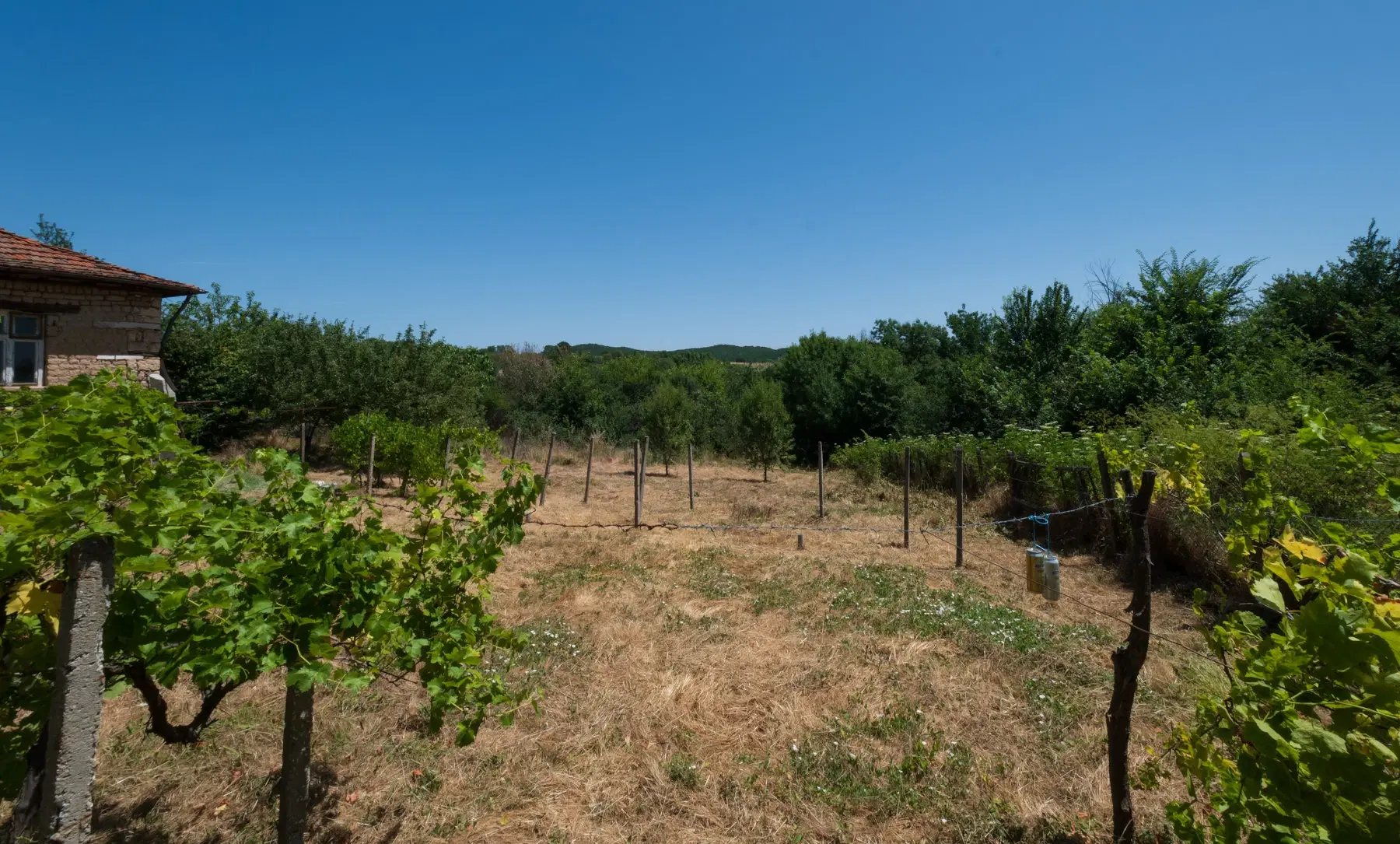 Huis op 2.564 m2 grond in Cherna Mogila - Bulgarije