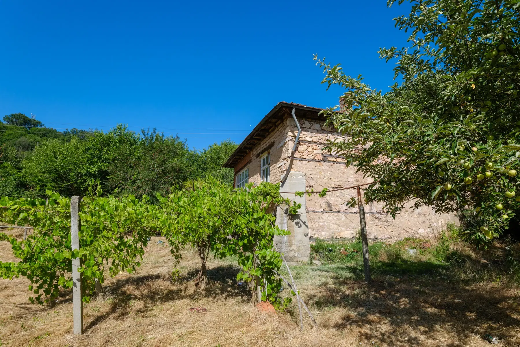 Huis op 2.564 m2 grond in Cherna Mogila - Bulgarije