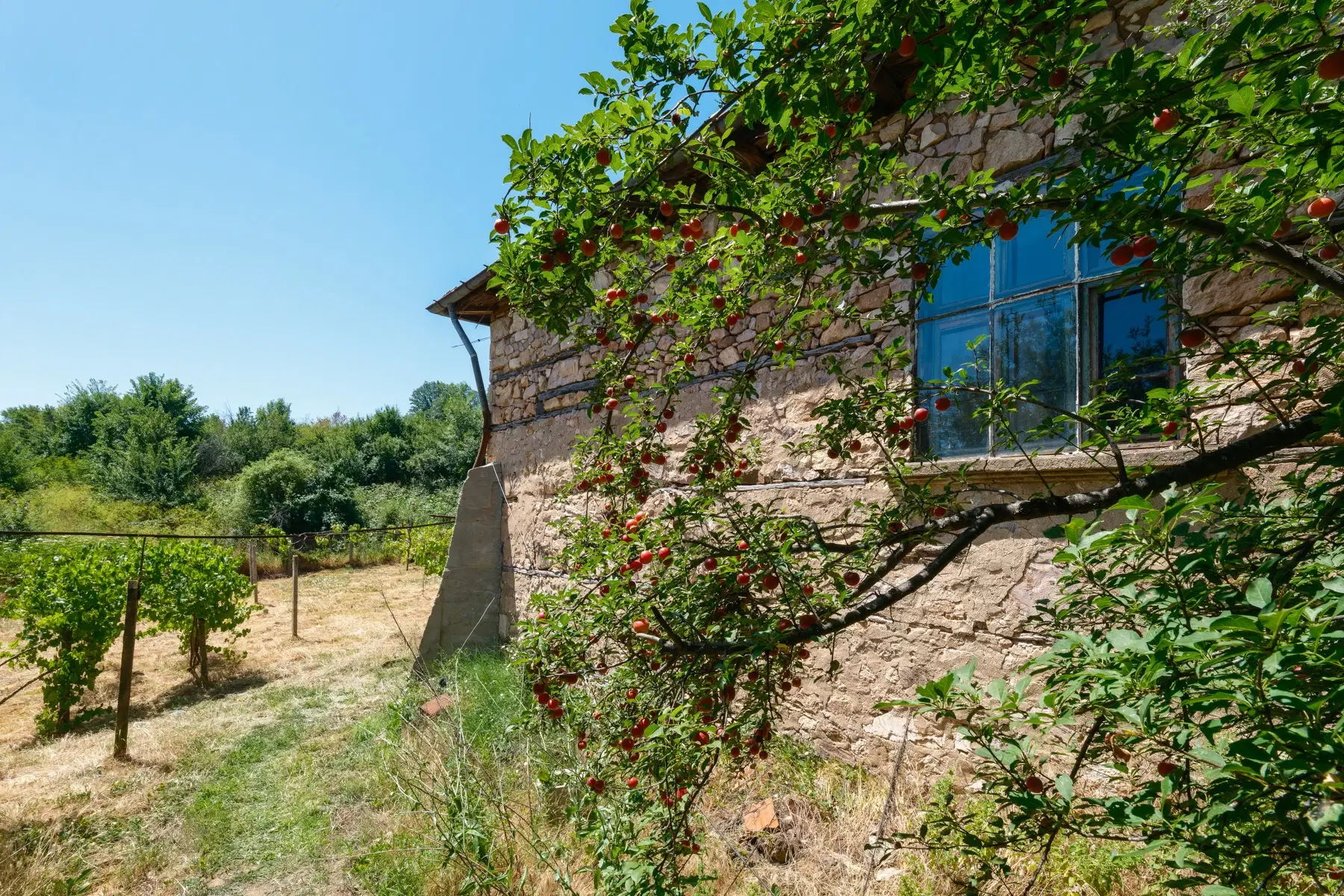 Huis op 2.564 m2 grond in Cherna Mogila - Bulgarije
