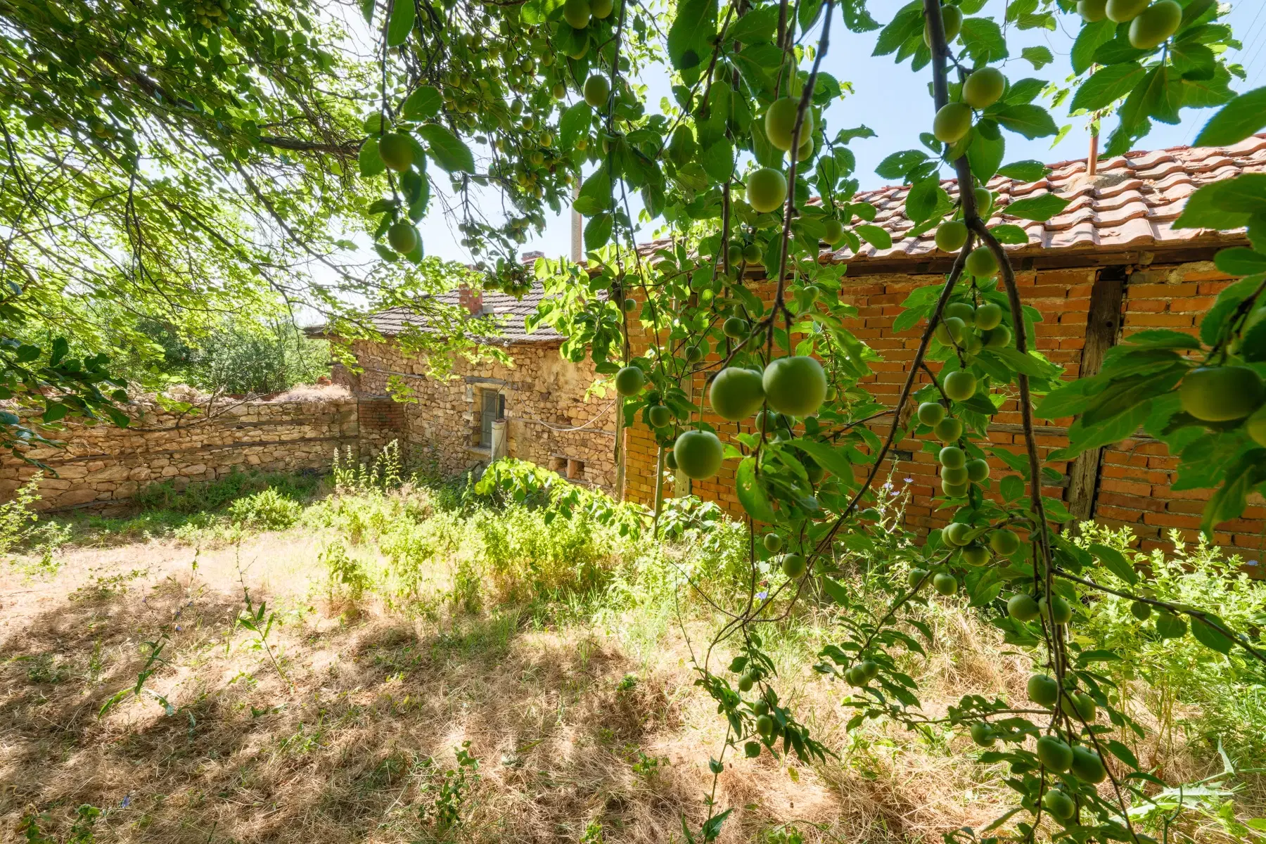 Huis op 2.564 m2 grond in Cherna Mogila - Bulgarije