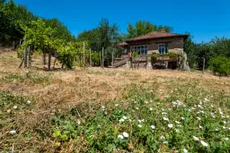 Huis op 2.564 m2 grond in Cherna Mogila - Bulgarije