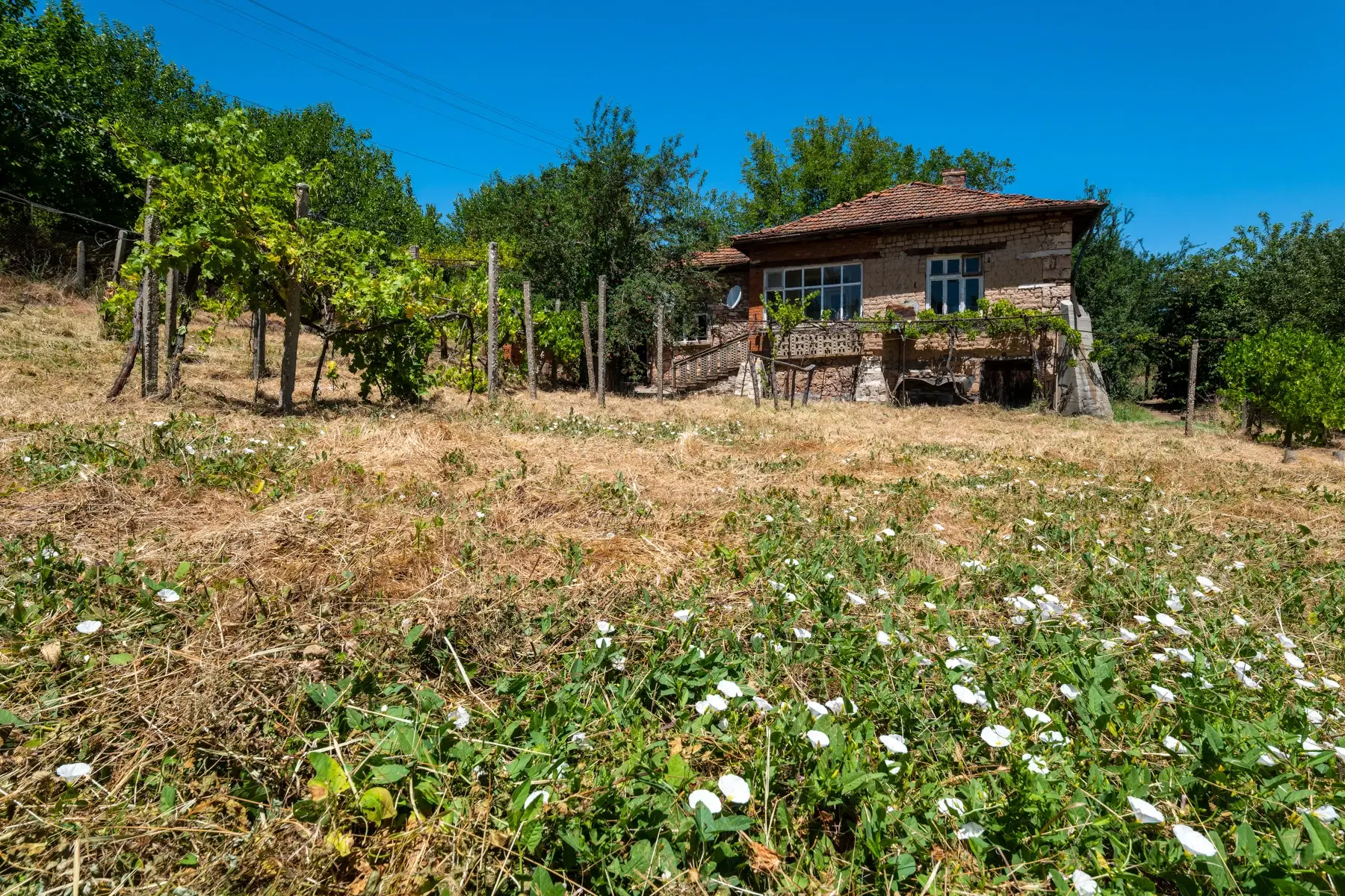 Huis op 2.564 m2 grond in Cherna Mogila - Bulgarije