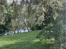 Legakkers gelegen in de Vinkeveense Plassen - perceel 1959