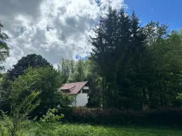 1,5 hectare landbouwgrond en boomsingels Thüringerwald - Schönbrunn - Duitsland