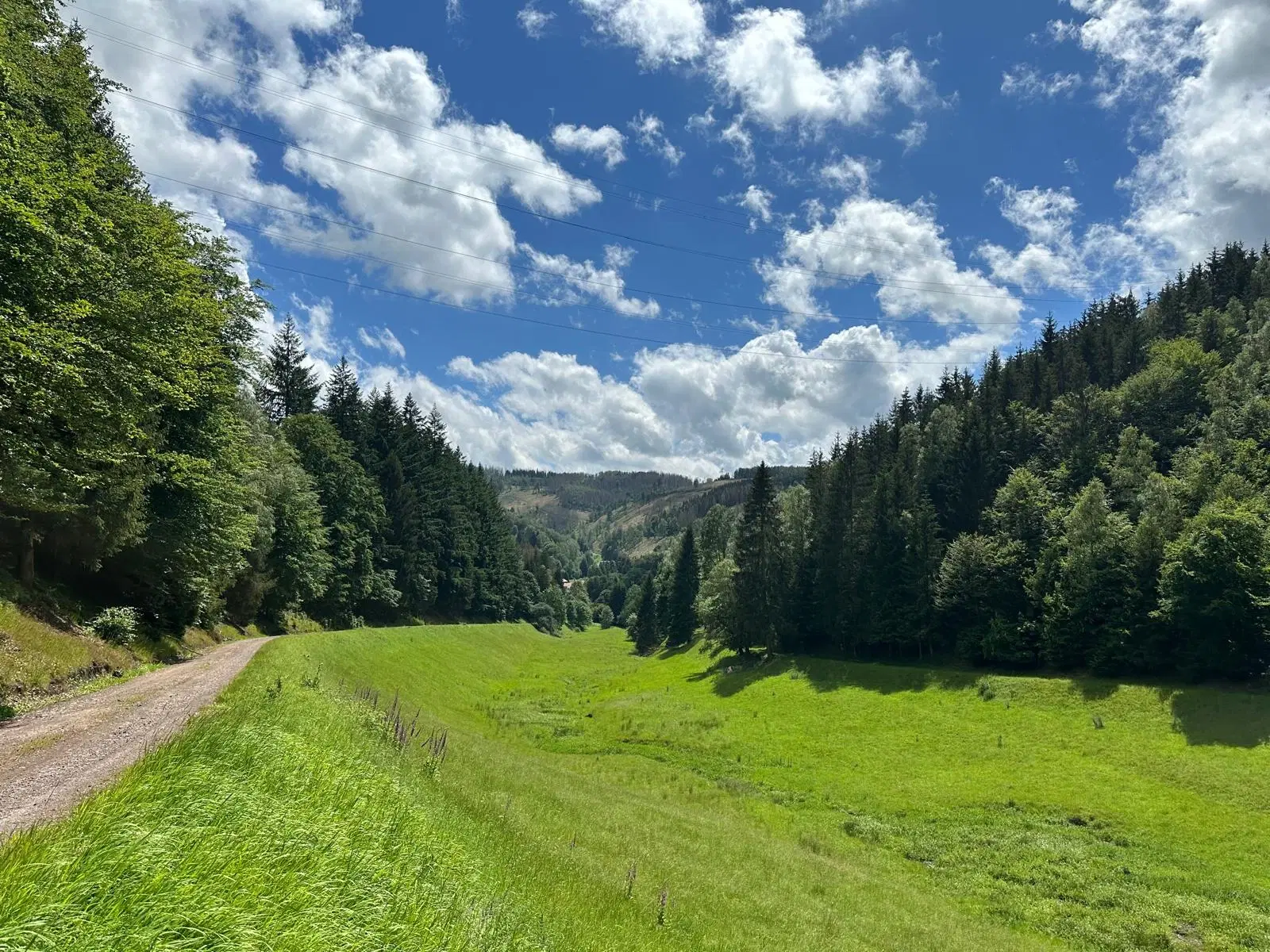 1,5 hectare landbouwgrond en boomsingels Thüringerwald - Schönbrunn - Duitsland