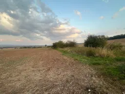 Perceel van 8.548 m² Akkerbouwgrond met Struiksingel in Uthleben (99765) - Duitsland