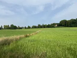 Vierkant perceel 100 m² Treuen - Duitsland