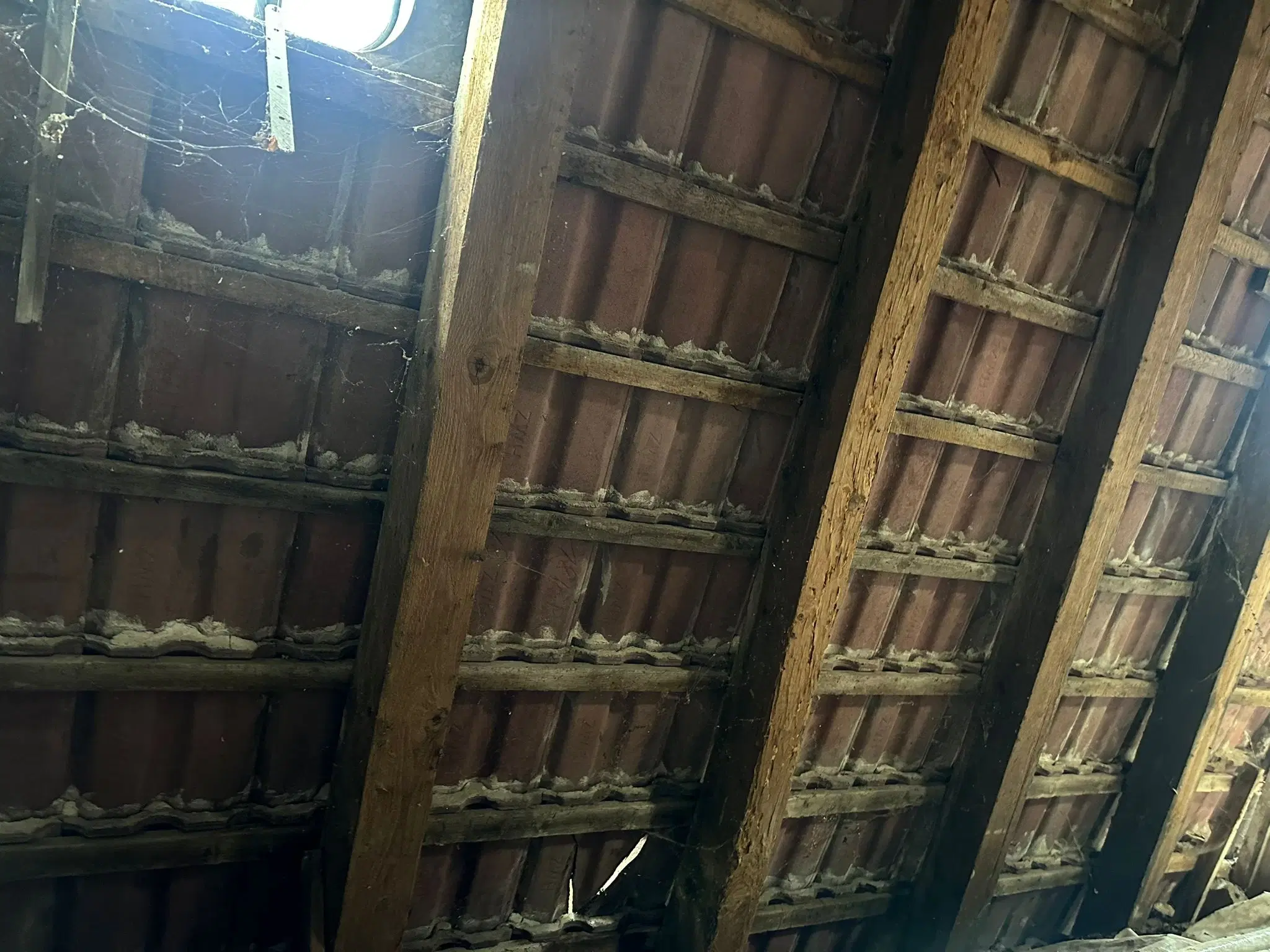 Hoekwoning op ca. 1.628 perceel - Dornbock - Duitsland