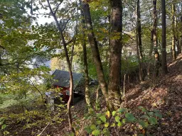 2.507 m² bos perceel nabij Frankenwald - Steinach - Duitsland