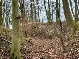 Perceel 4.060 m² Bischofroda, Thüringen - Duitsland