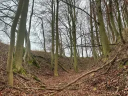 Perceel 4.060 m² Bischofroda, Thüringen - Duitsland