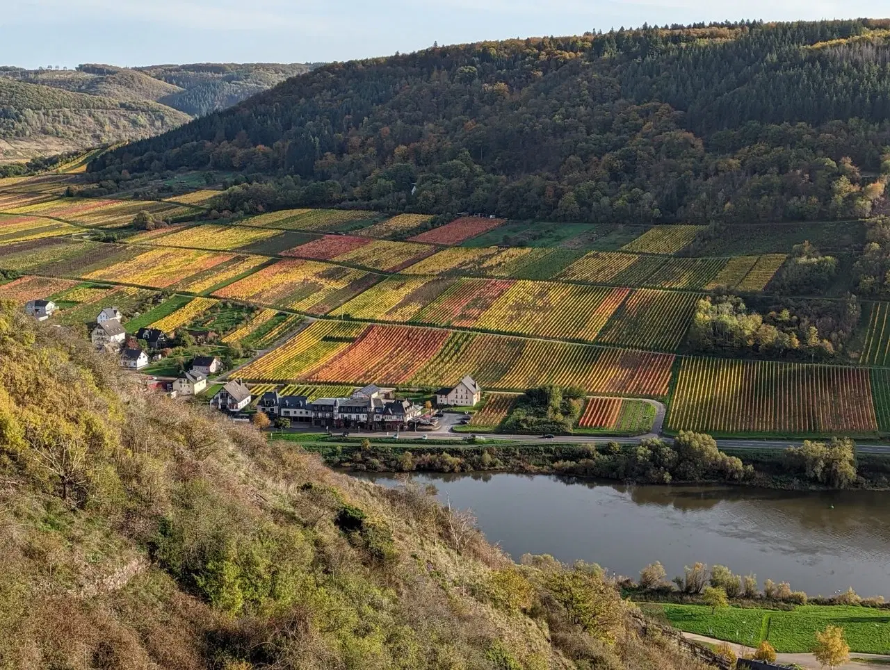 767 m² bosgrond in Cochem - Duitsland