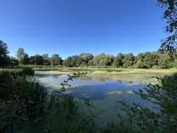 Gerenoveerd vakwerkhuis met ruime tuin en bijgebouwen op perceel van 821 m2 in Dobitschen - Duitsland