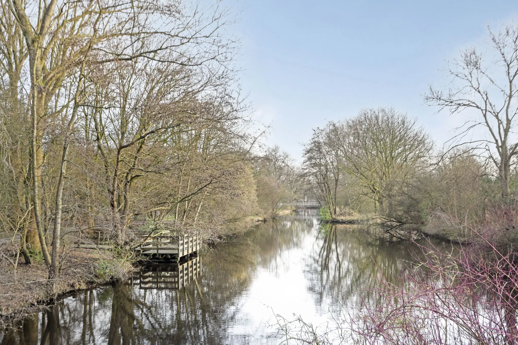Leeuwarden, Raaigras 251