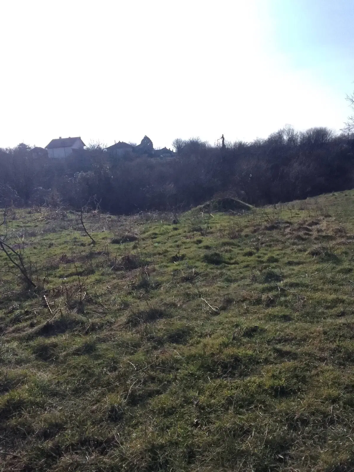Twee huizen + 750 m² grond en bijgebouwen in Kireevo - Bulgarije