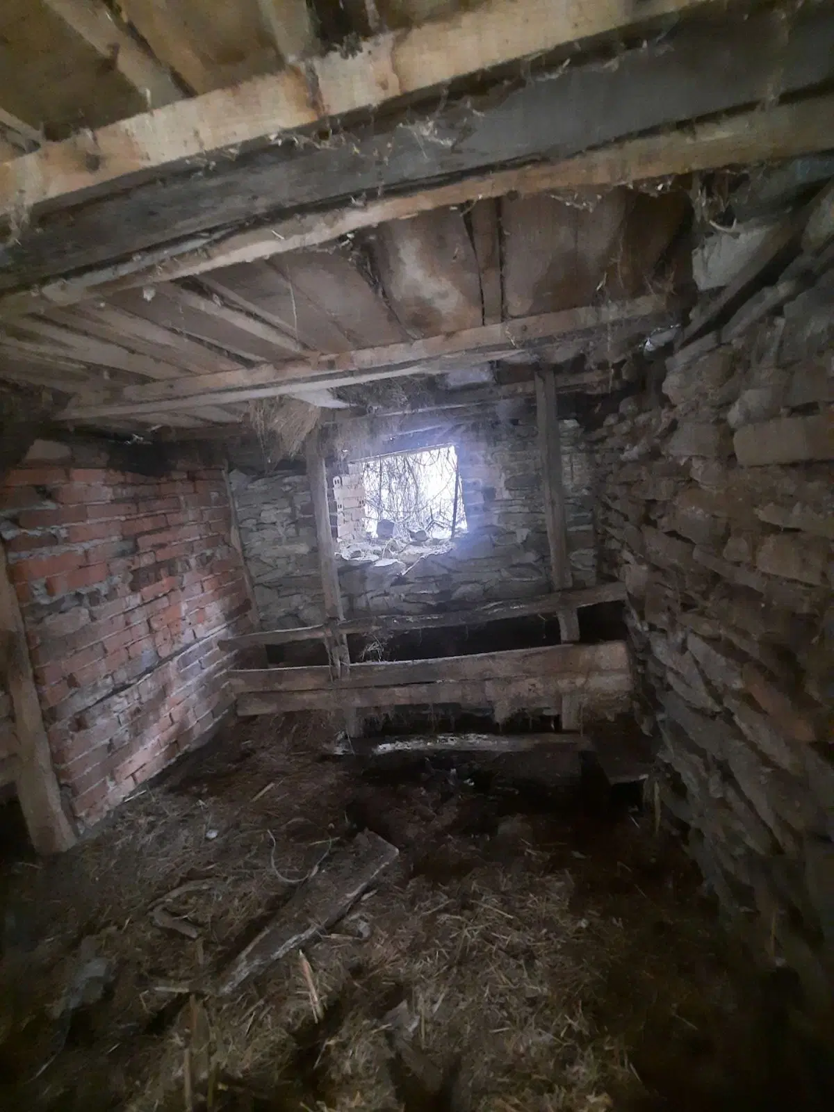 Twee huizen + 750 m² grond en bijgebouwen in Kireevo - Bulgarije