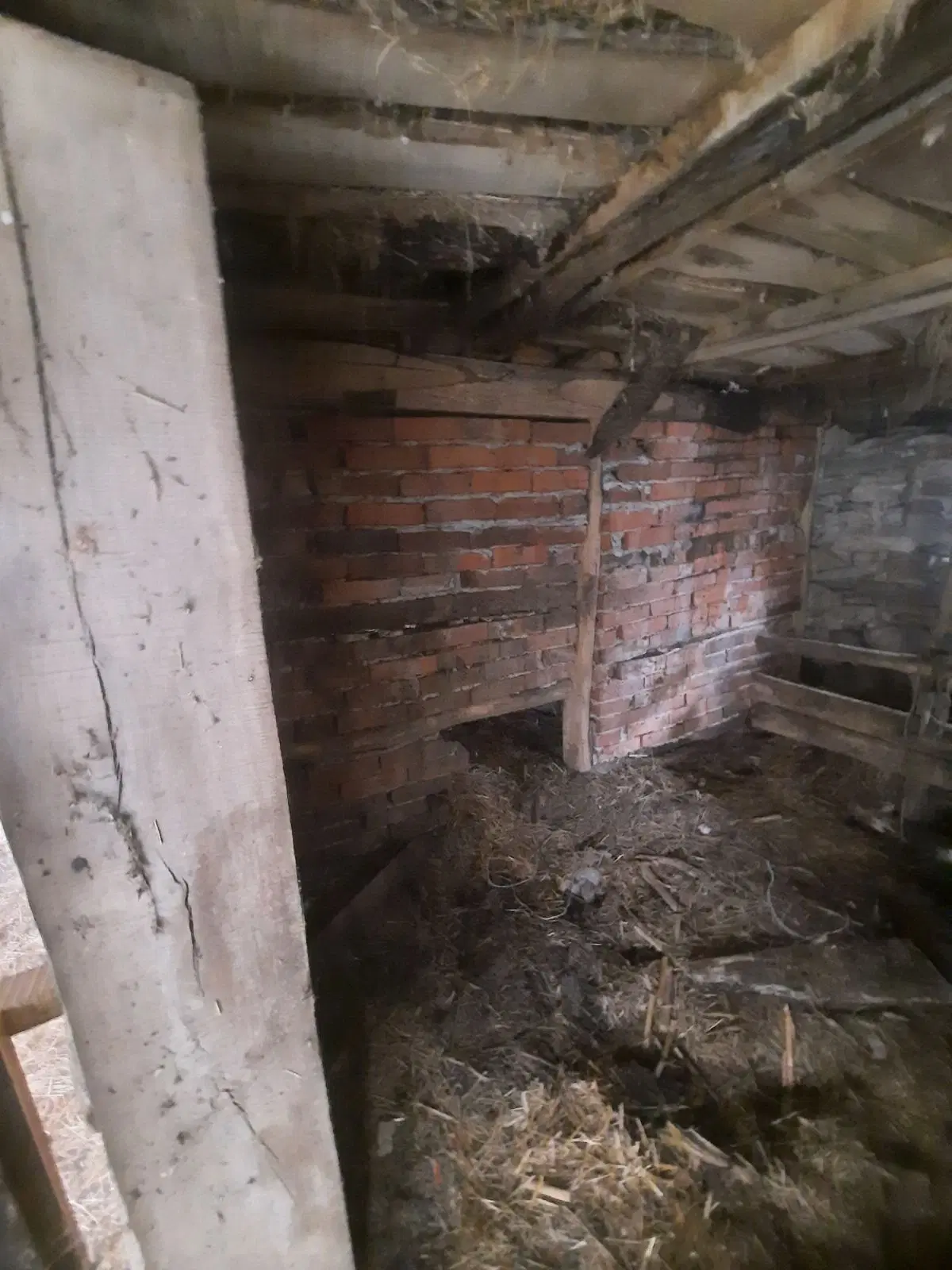 Twee huizen + 750 m² grond en bijgebouwen in Kireevo - Bulgarije