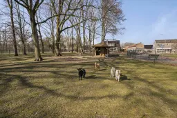 't Harde, Kernhoopweg 77