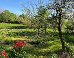 Gezinswoning met 800 m² grond met fruitbomen in Ovcha Mogila, Veliko Tarnovo - Bulgarije