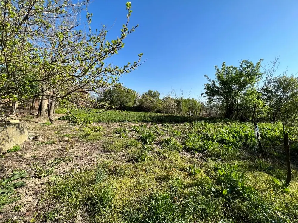 Gezinswoning met 800 m² grond met fruitbomen in Ovcha Mogila, Veliko Tarnovo - Bulgarije