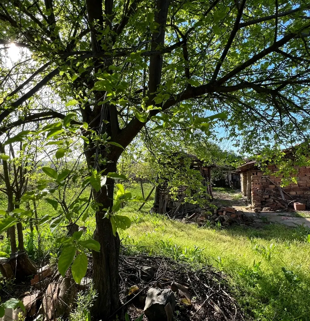 Gezinswoning met 800 m² grond met fruitbomen in Ovcha Mogila, Veliko Tarnovo - Bulgarije