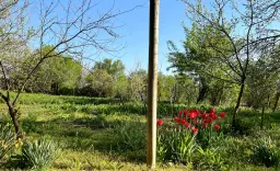 Gezinswoning met 800 m² grond met fruitbomen in Ovcha Mogila, Veliko Tarnovo - Bulgarije