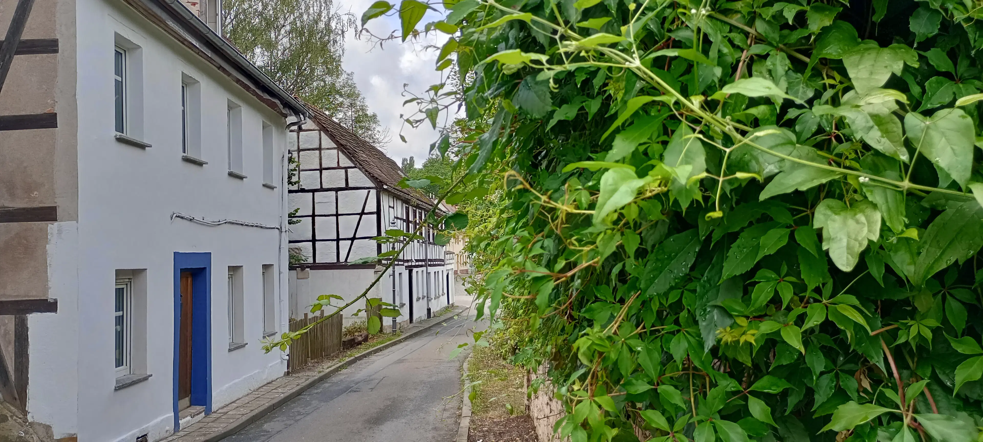 Vrijstaand huis in Zeitz - Duitsland