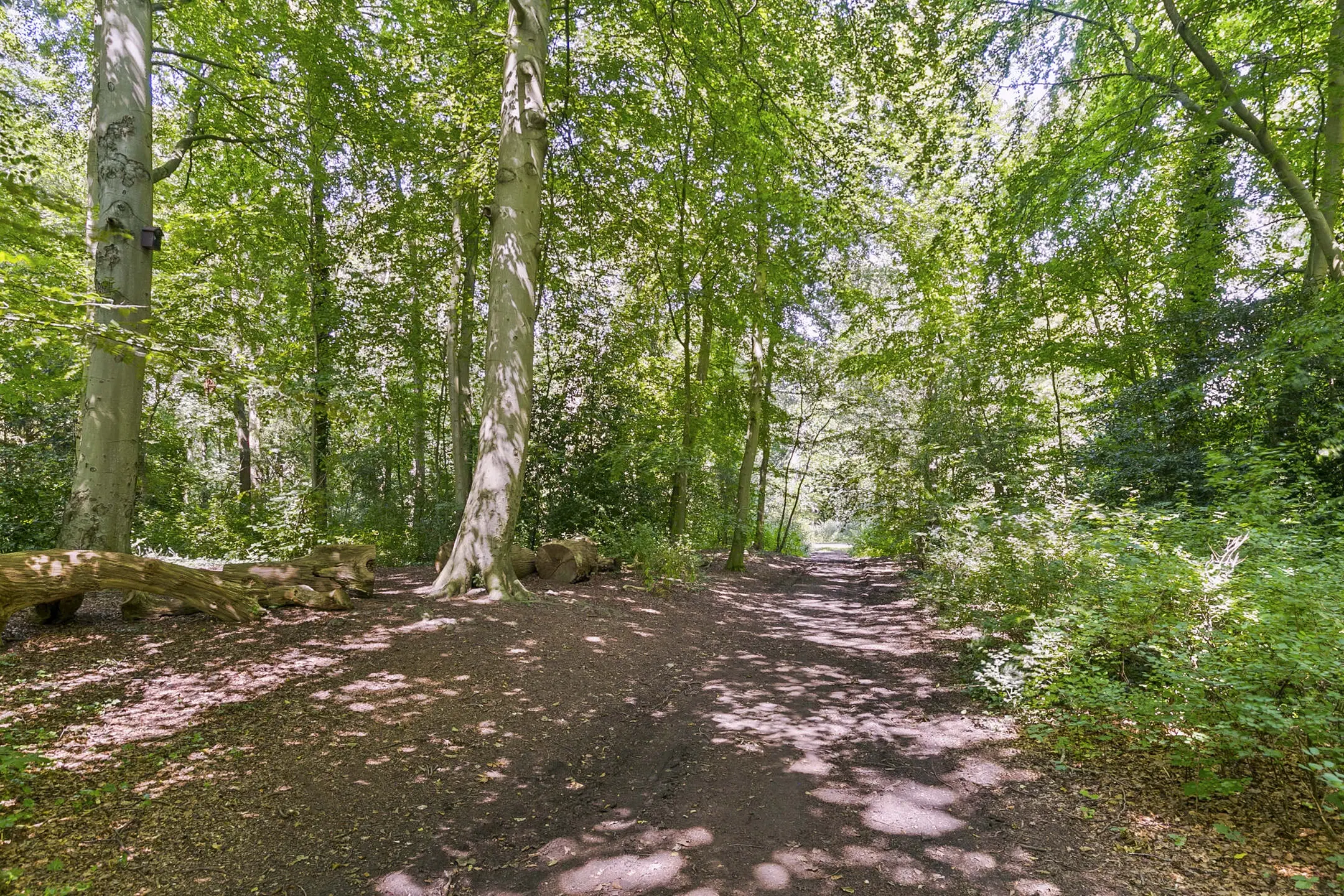 Landhuis Endymion (Koepellaan 2) te Bloemendaal